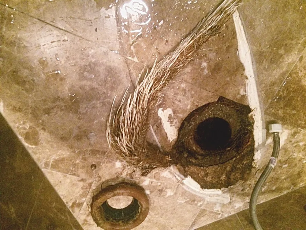 Affordable emergency plumbing experts serving Woodland Hills, CA - Ray Plumbing