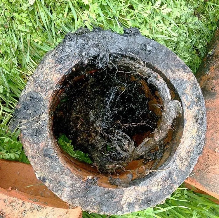 Slide of Ray Plumbing