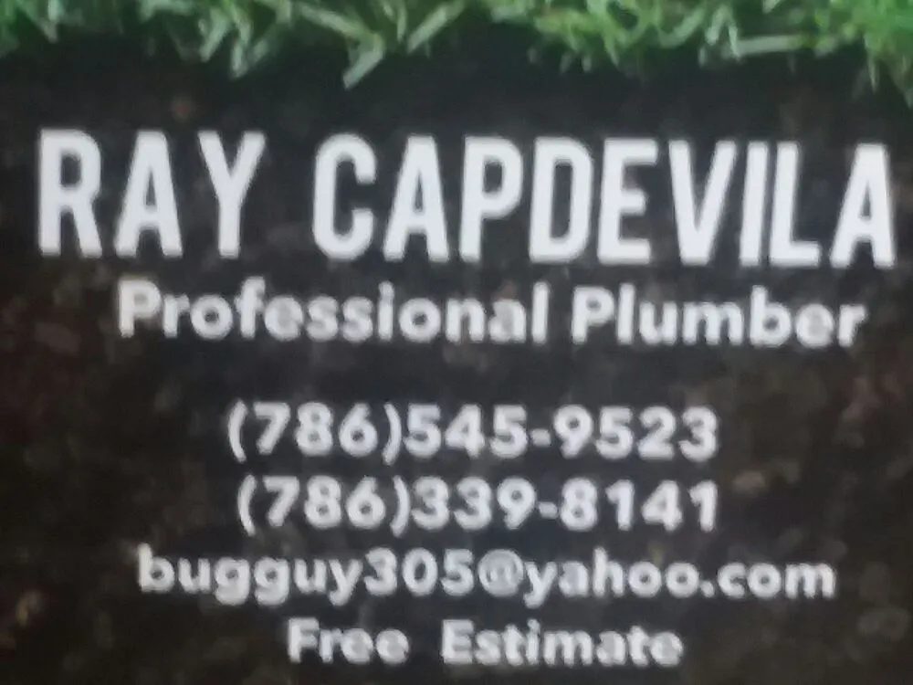 Slide of Ray The Plumber