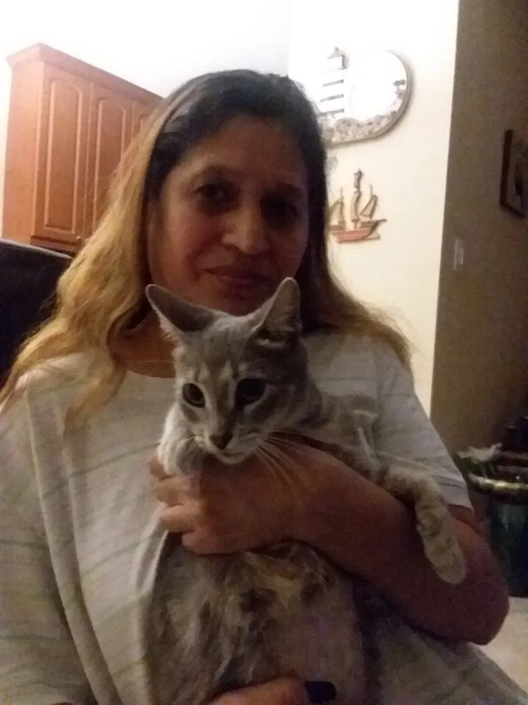 Slide of Ray The Plumber