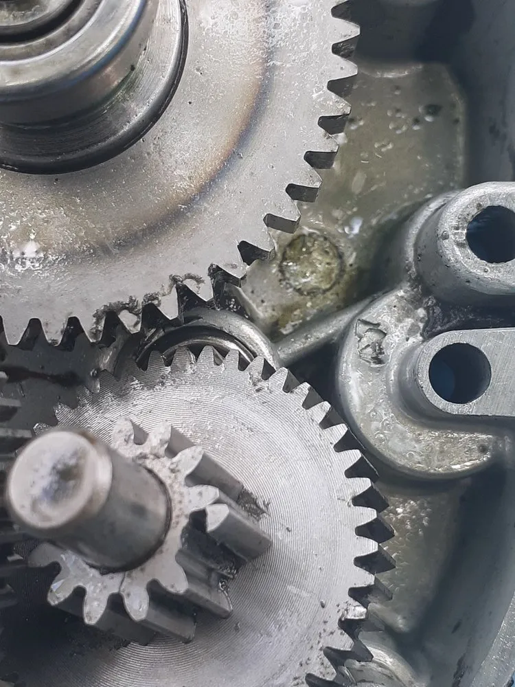 Slide of Ray The Plumber