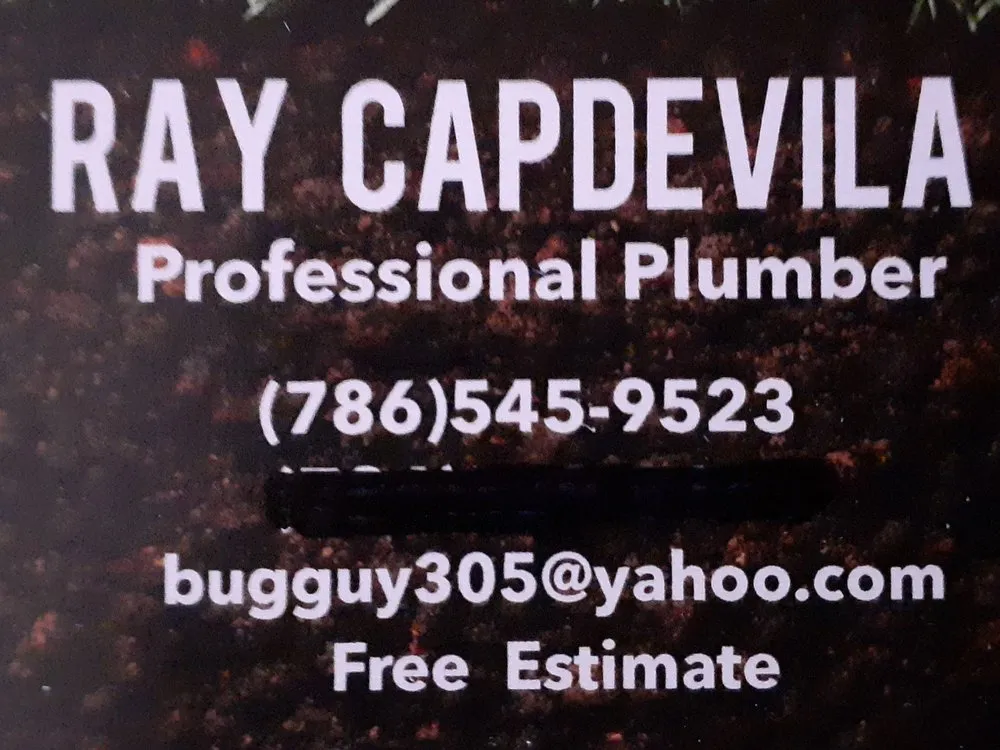 Slide of Ray The Plumber