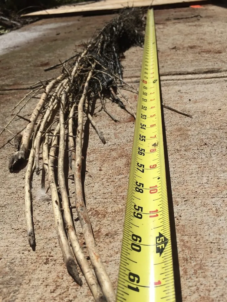 Slide of Rayco Plumbing