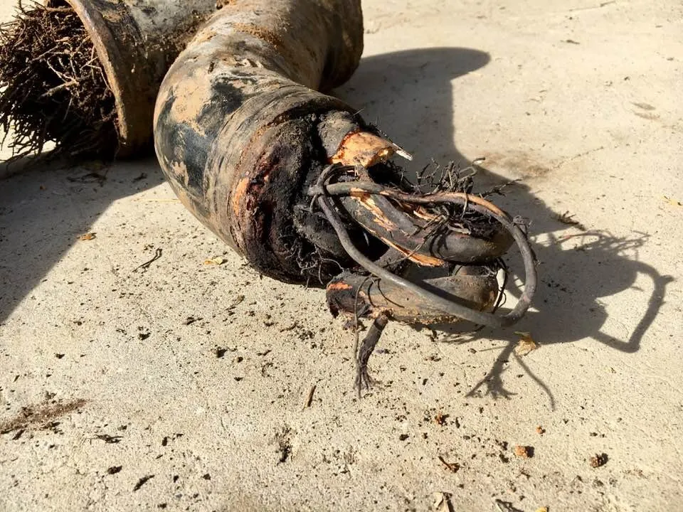 Professional drain cleaning for homes in San Jose, CA by Rayne Plumbing & Sewer Service, Inc