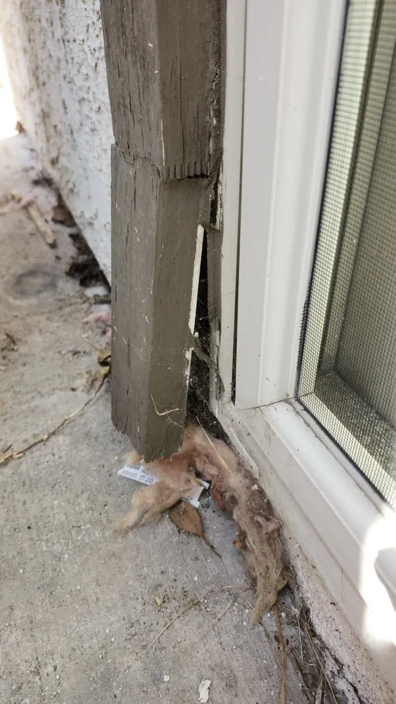 Slide of Rayne Water Conditioning