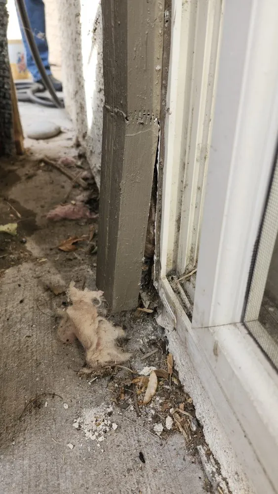 Slide of Rayne Water Conditioning