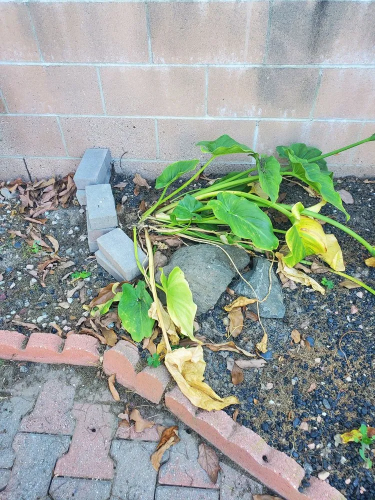 Slide of Rayne Water Conditioning