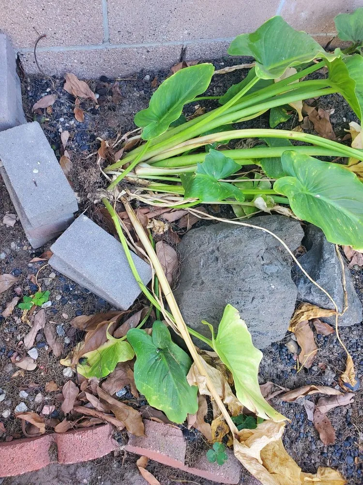 Slide of Rayne Water Conditioning