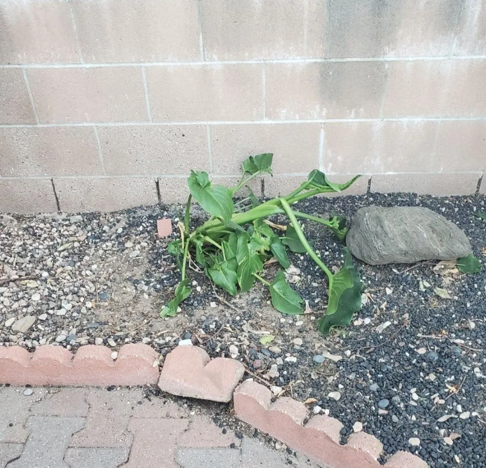 Slide of Rayne Water Conditioning