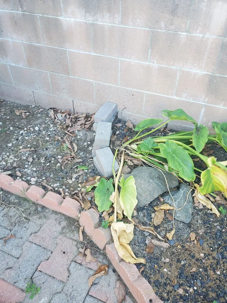 Slide of Rayne Water Conditioning