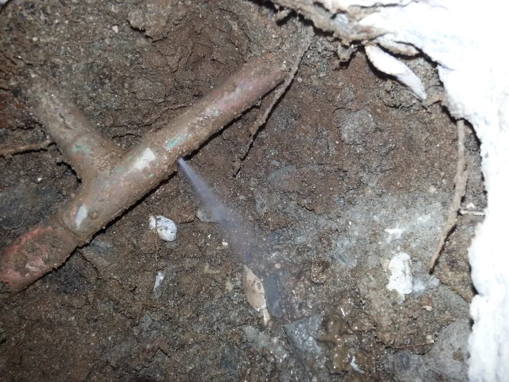 Slide of Ray's Leak Detection & Plumbing Repair