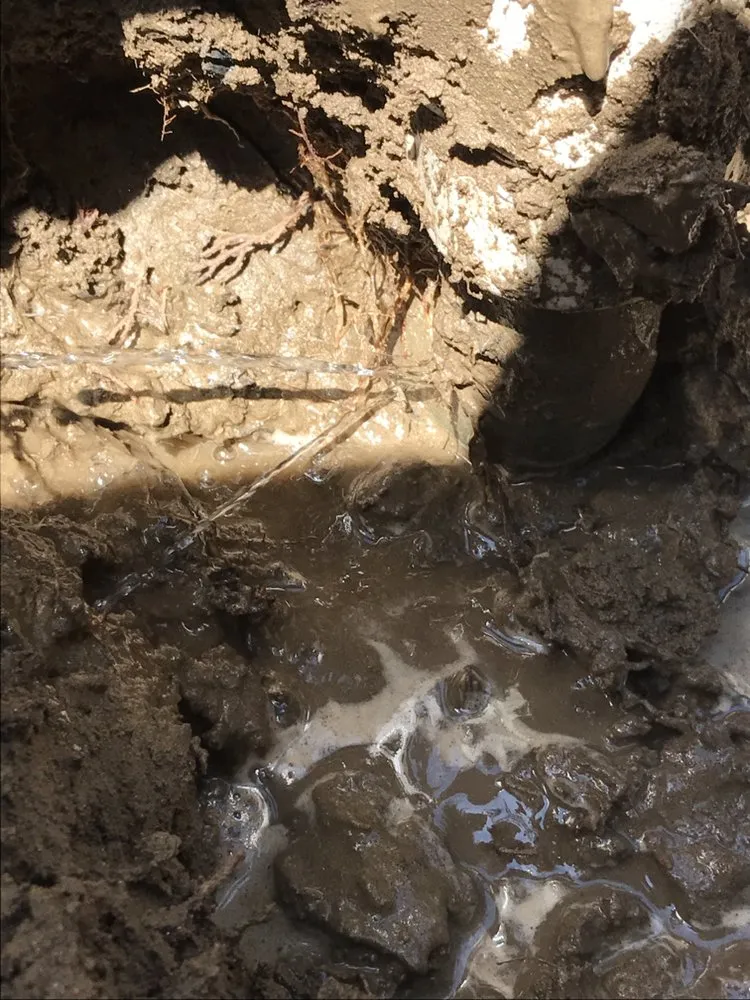 Slide of Raytek Leak Detection