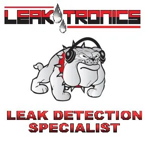 Slide of Raytek Leak Detection