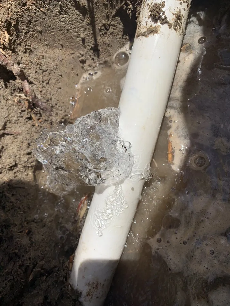 Slide of Raytek Leak Detection