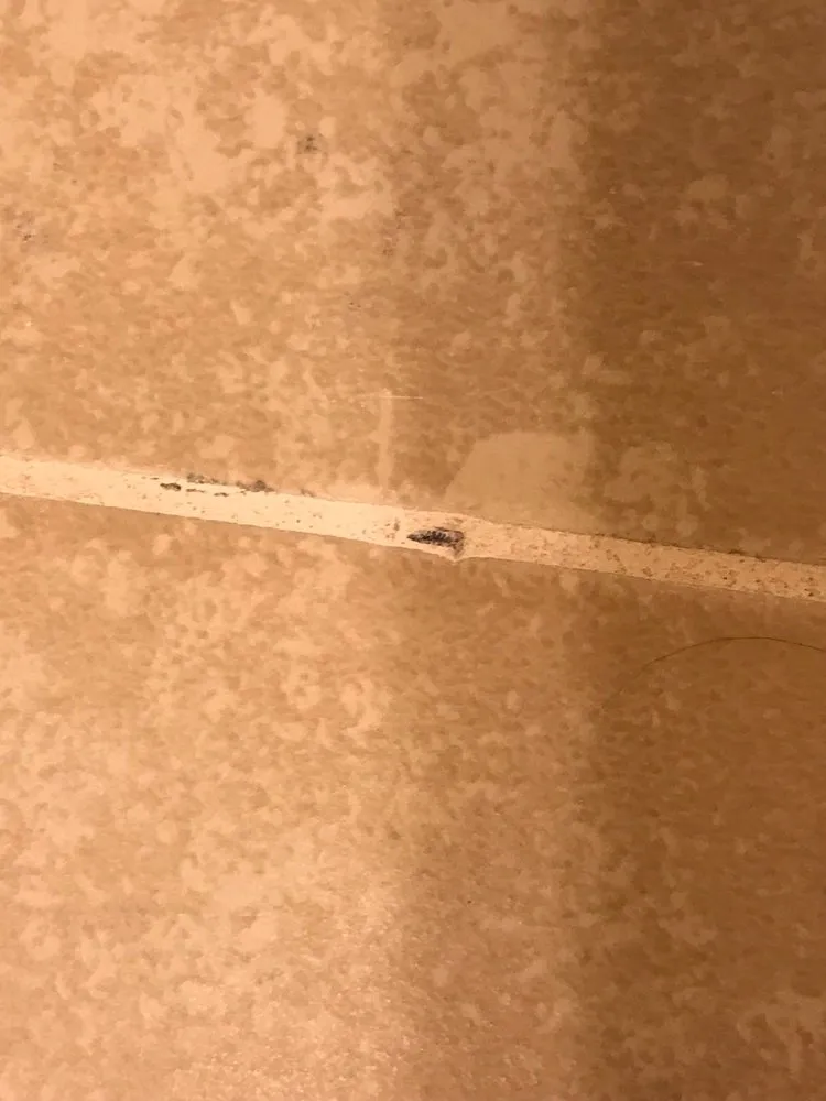 Top-rated water heater service for homes in Stow, OH by RB Plumbing and Remodeling