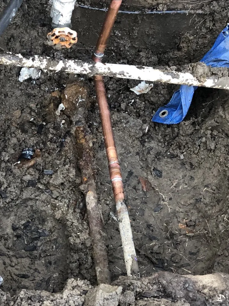 Slide of R.B. Travis