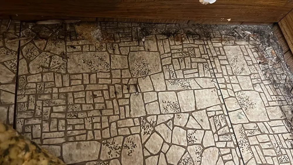 Slide of R&cimprovemaent