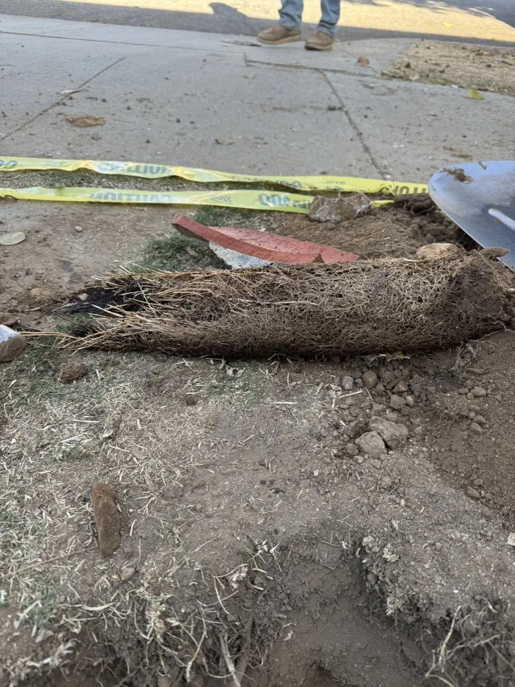 Slide of RCP Plumbing