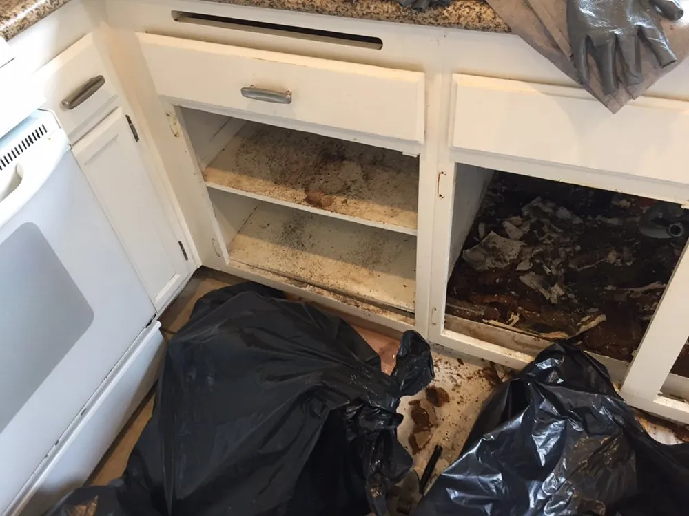 Slide of RDB Construction