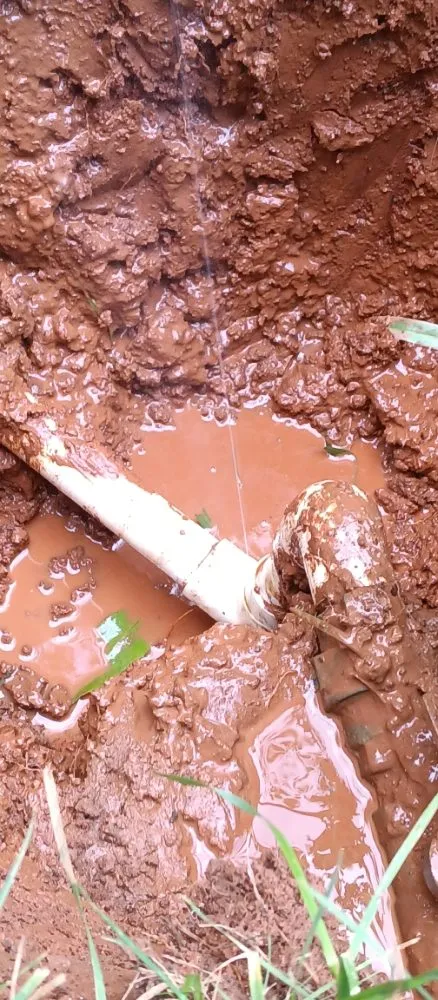 Slide of RDR Restorations