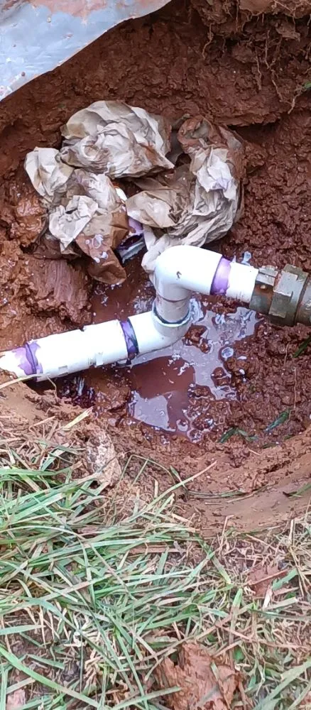 Slide of RDR Restorations