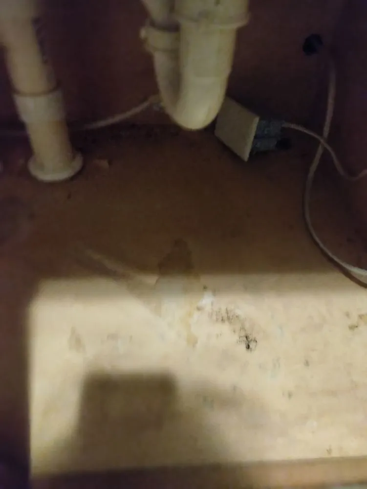 Slide of RDR Restorations