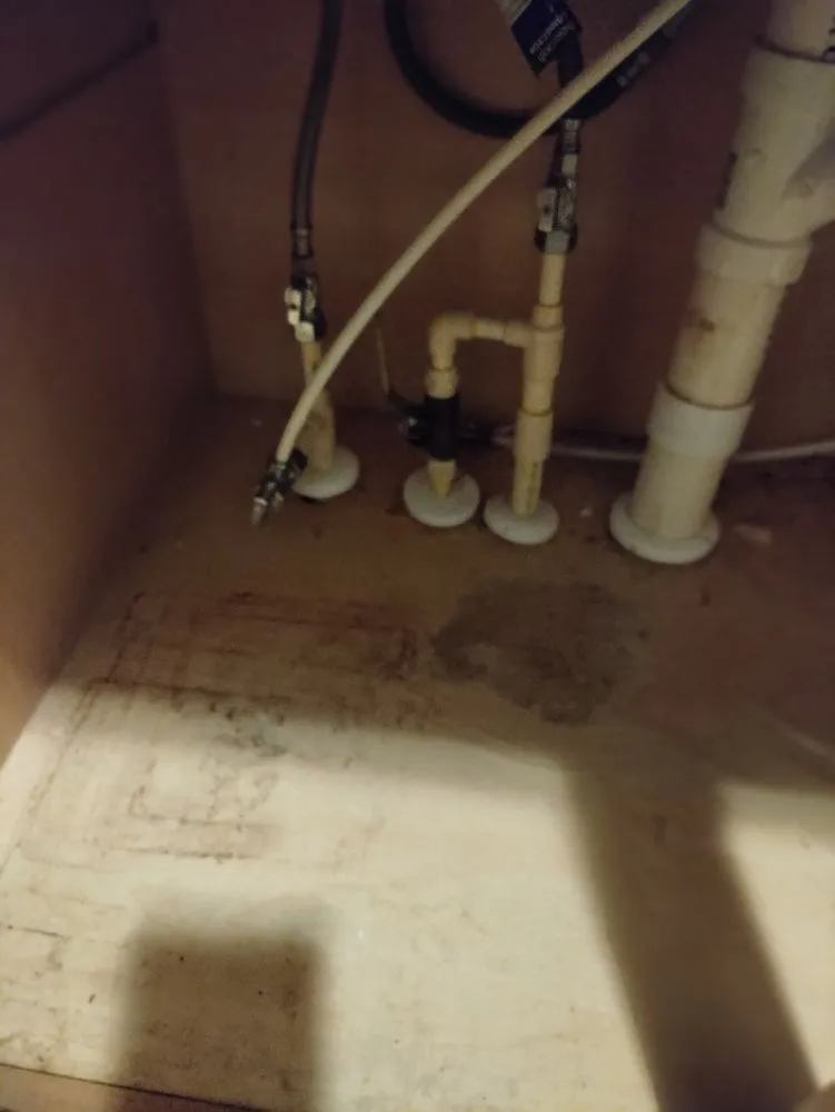 Slide of RDR Restorations