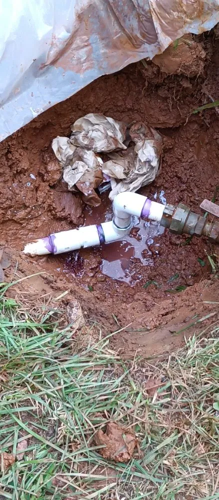 Slide of RDR Restorations