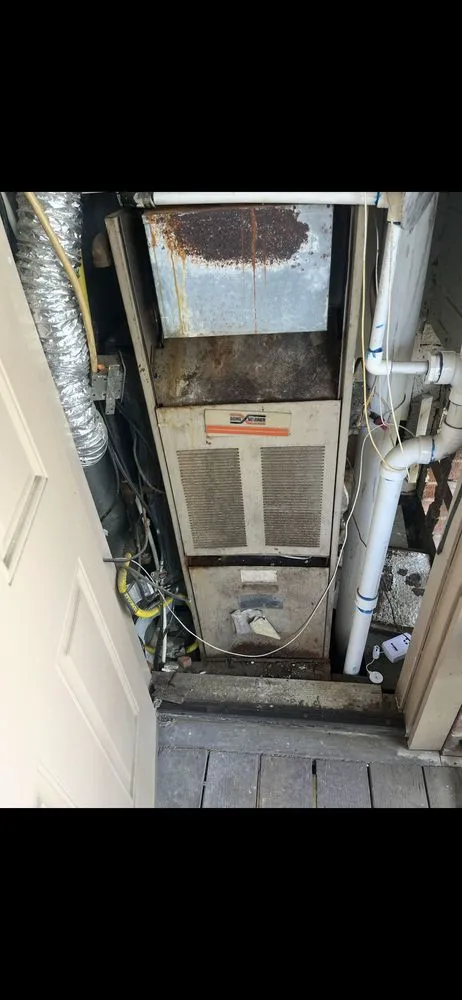 Slide of Re Juv A Nation