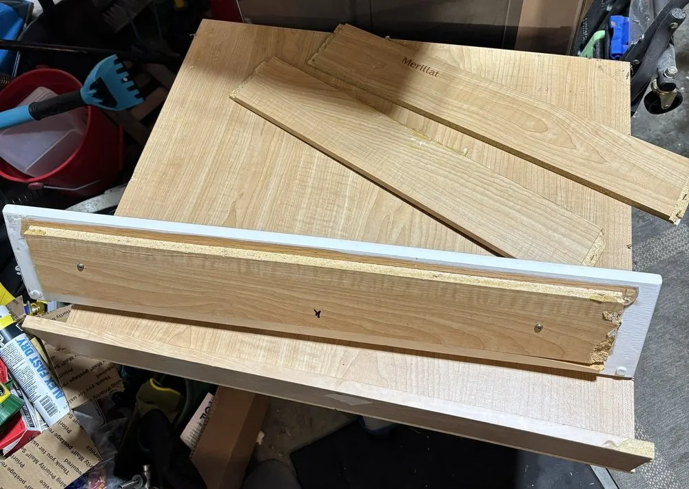 Slide of Re Juv A Nation