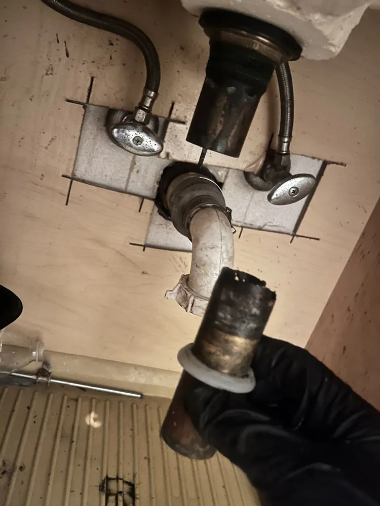 Slide of Re Juv A Nation