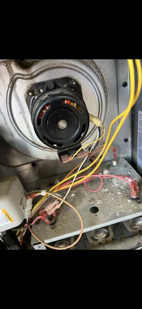 Slide of Re Juv A Nation