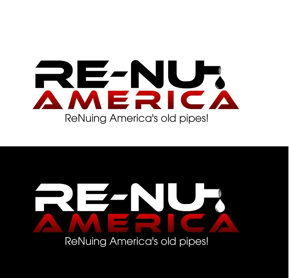 Slide of Re-Nu America
