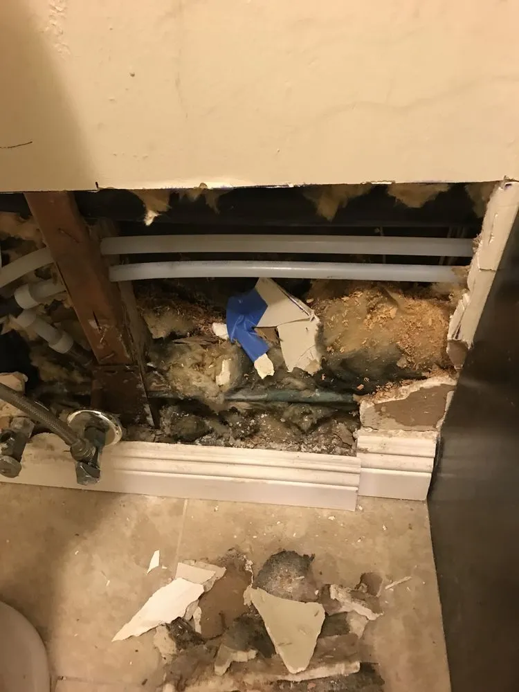 Slide of Re-pipe Plumbing