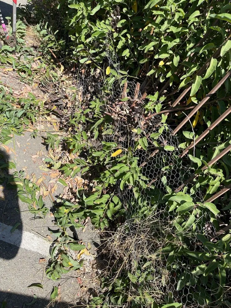 Slide of RE Plumbing