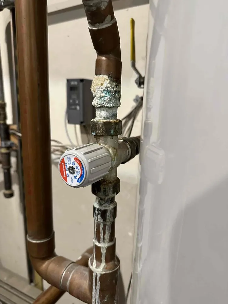 Slide of Ready Rooter