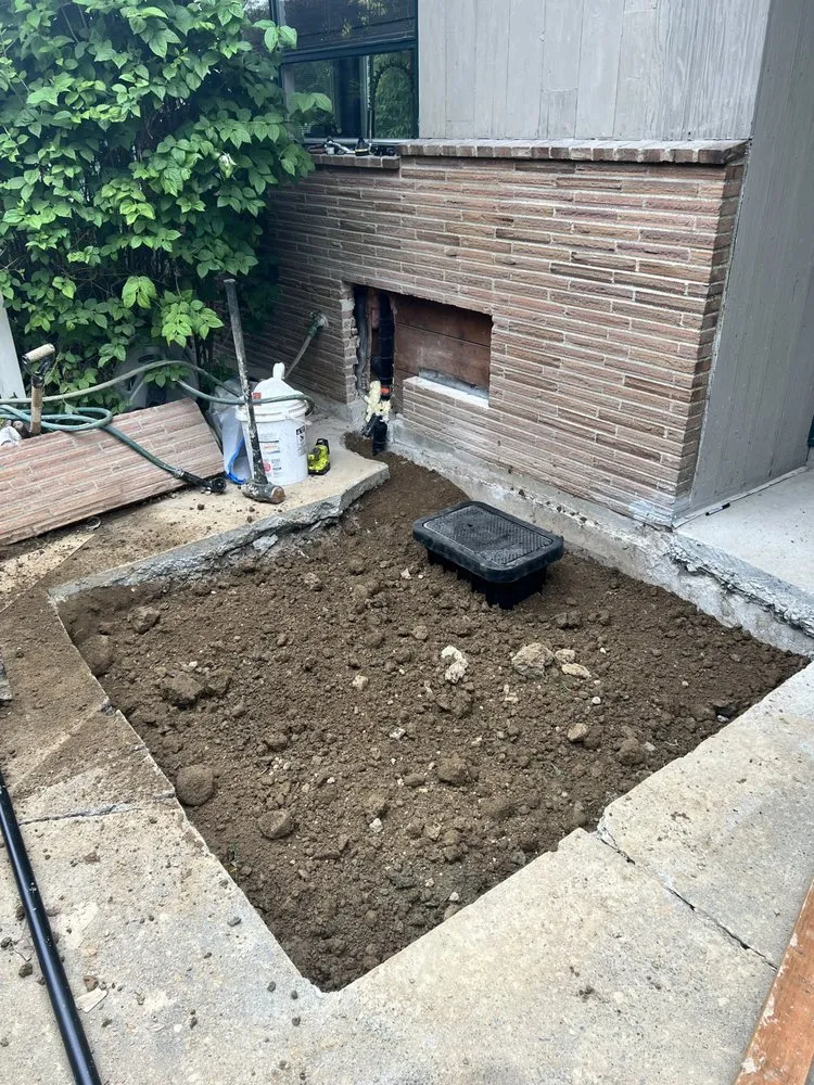 Slide of Ready Rooter