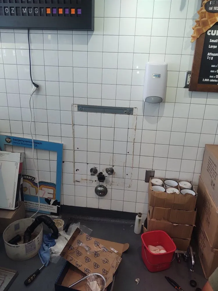 Slide of Real Plumbers