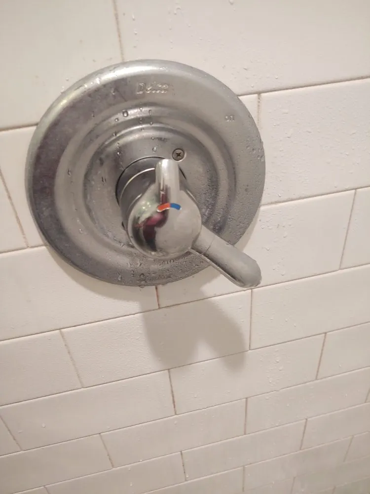 Slide of Real Plumbers