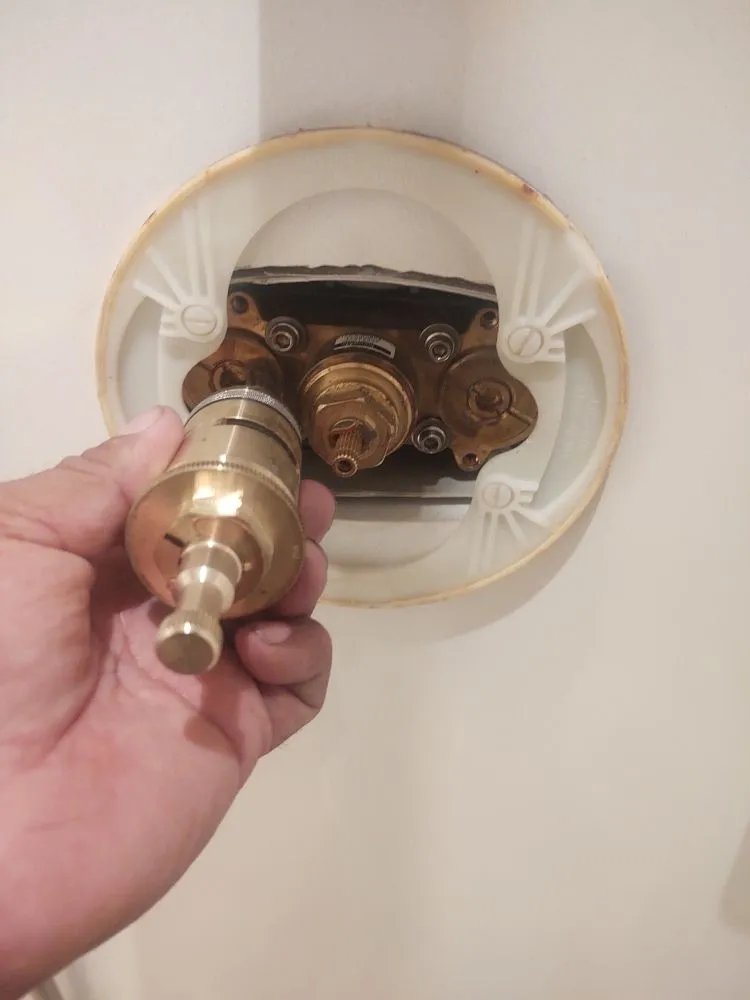 Slide of Real Plumbers