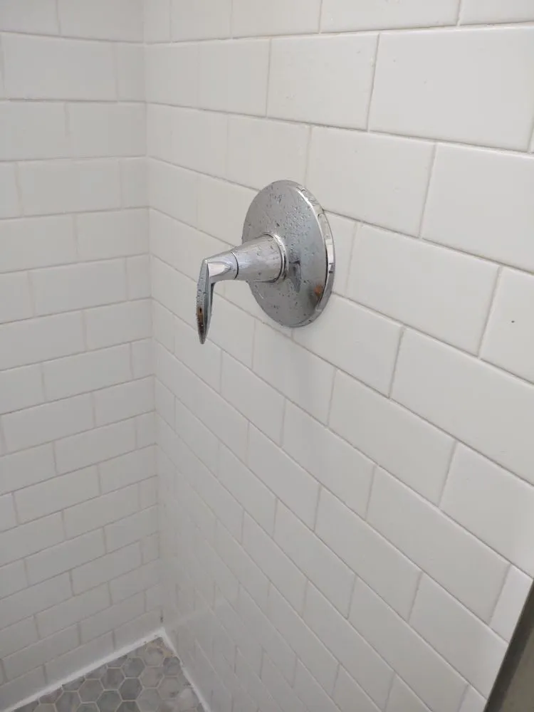 Slide of Real Plumbers