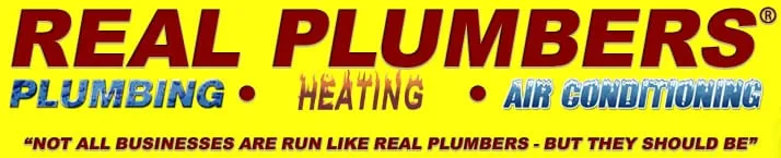 Slide of Real Plumbers