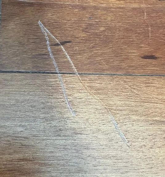 Slide of Real Plumbers