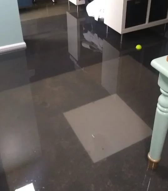 Slide of Real Restoration