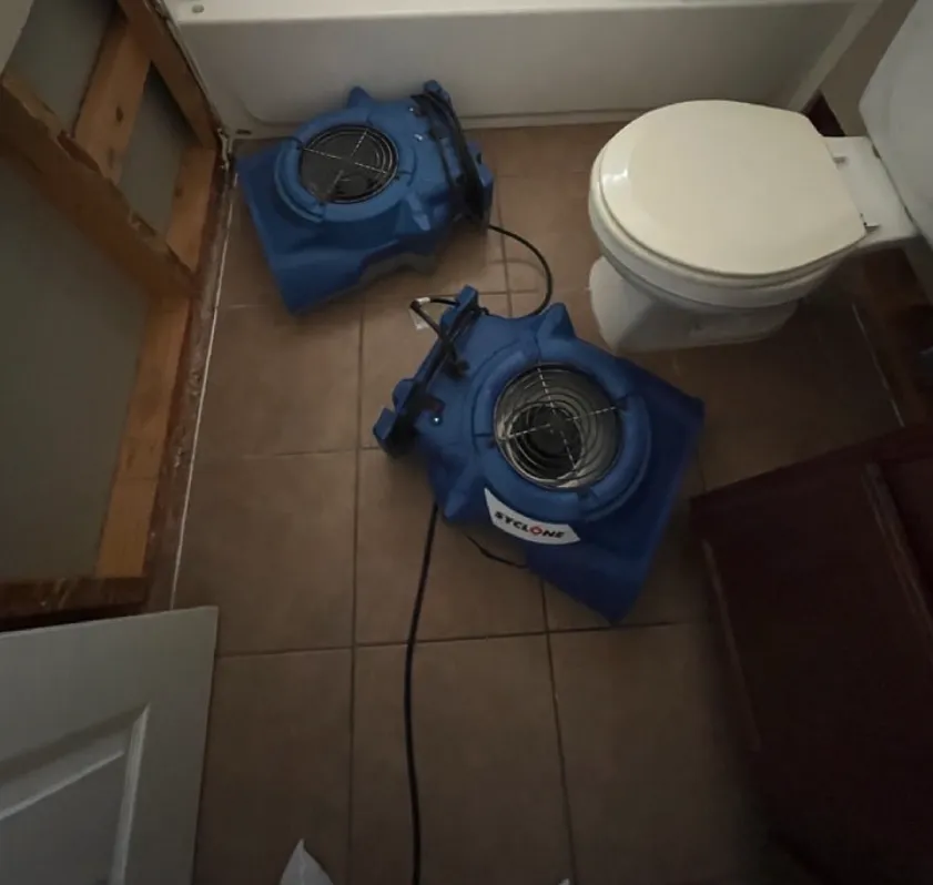 Slide of Real Restoration