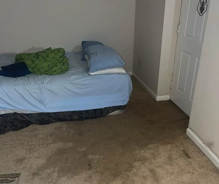 Slide of Real Restoration