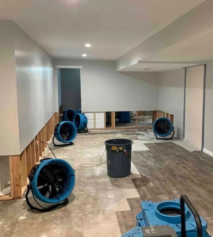 Slide of Real Restoration