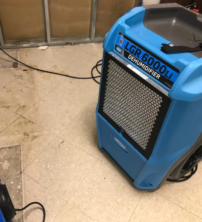 Slide of Real Restoration