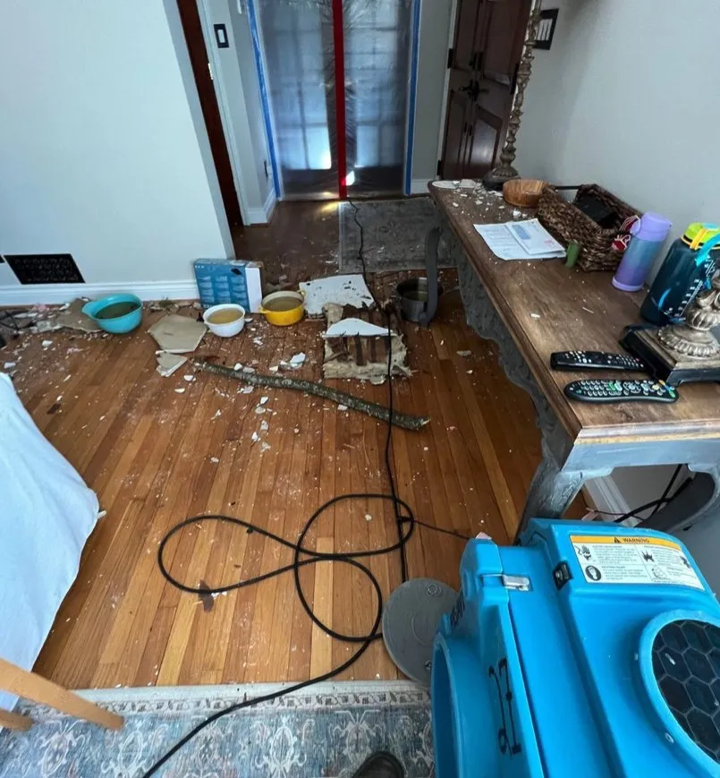 Slide of Real Restoration