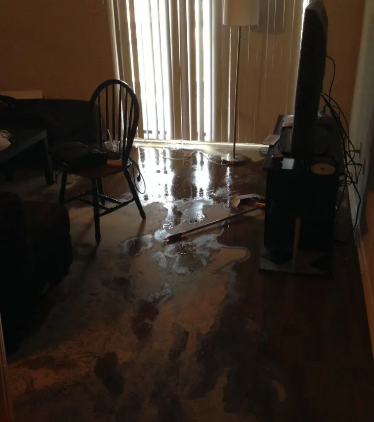 Slide of Real Restoration